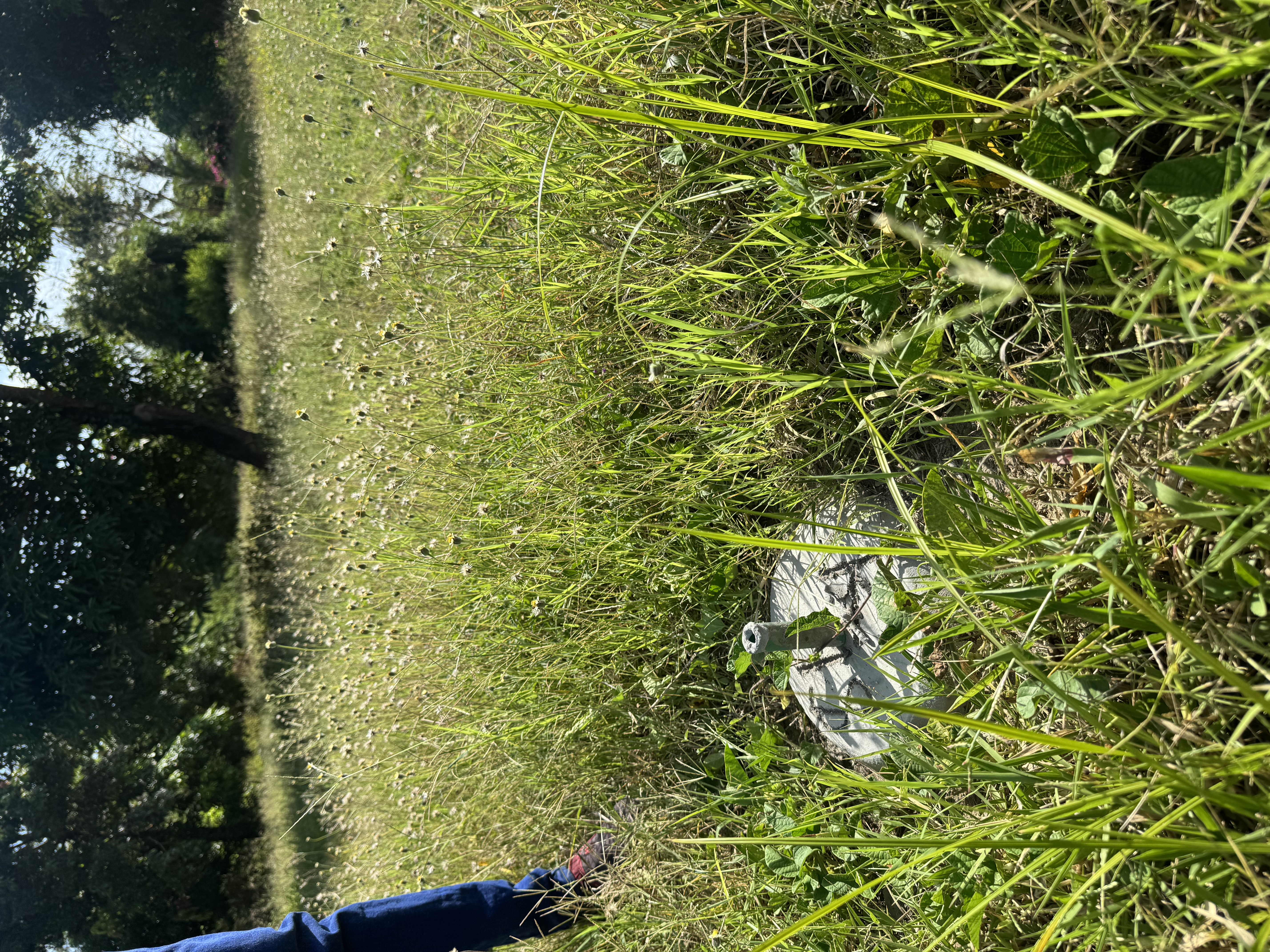 prime-investment-plots-in-mtwapa-kilifi-countys-growth-zone