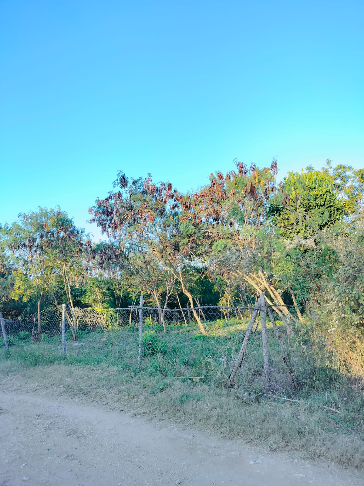 exclusive-34-acre-investment-land-for-sale-dianis-high-end-zone