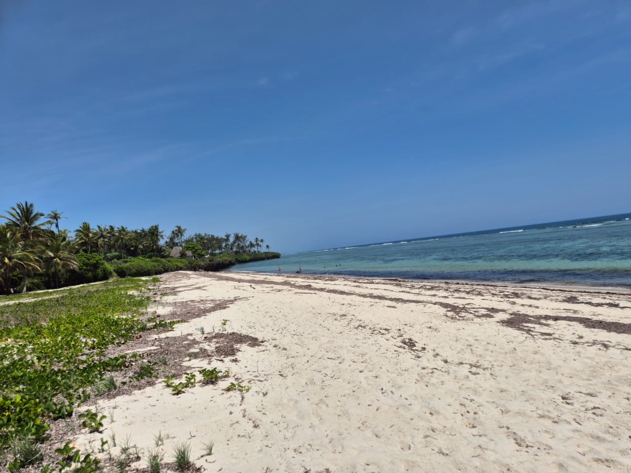 for-sale-143-acres-prime-beachfront-property-tiwi