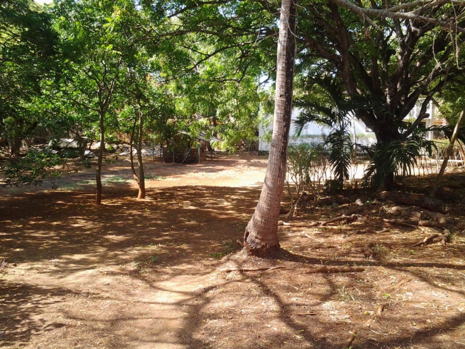 for-sale-beachfront-bungalow-on-1-acre-shanzu-beach-mtwapa-creek