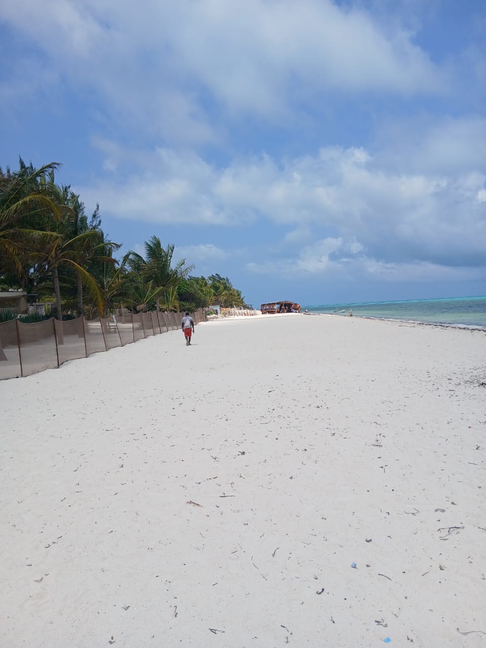 FOR SALE – Beachfront Luxury Mansion on 5 Acres, Watamu Jacaranda