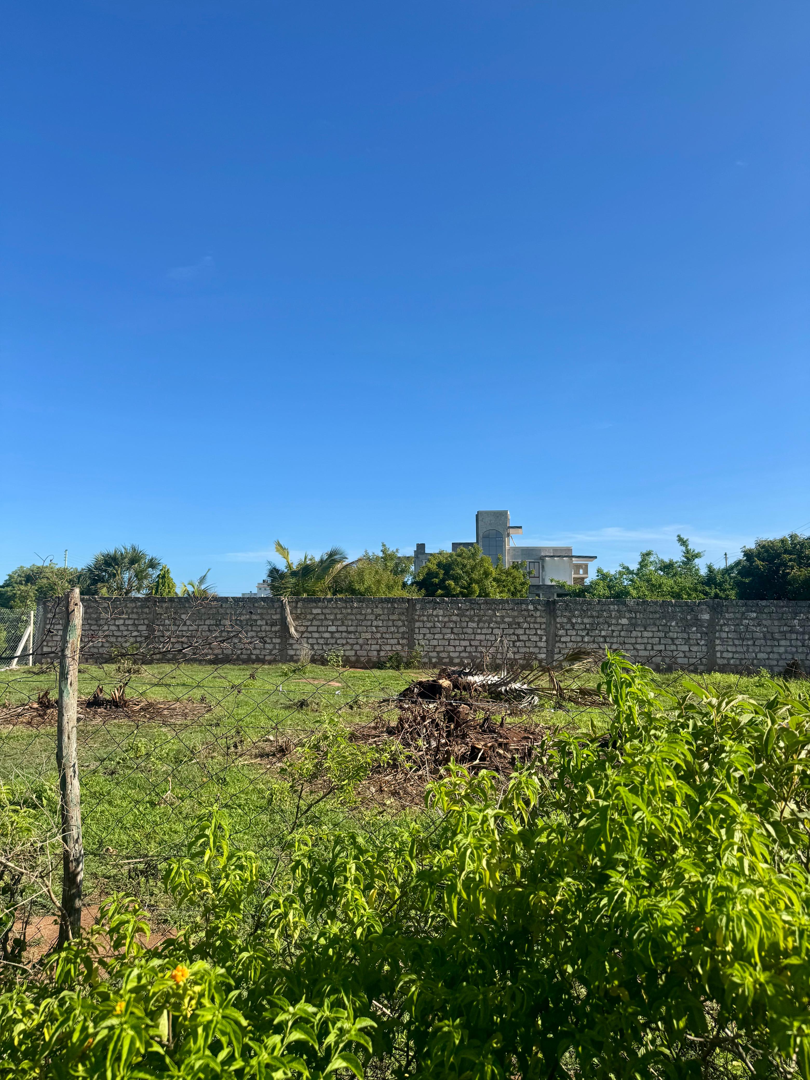 2 Prime 50x100 Plots for Sale in Vipingo